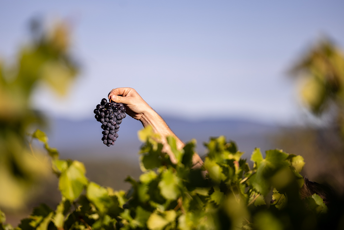 harvest report 2023